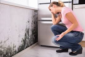 Best Mold Removal for HVAC Installations  in Durand, WI